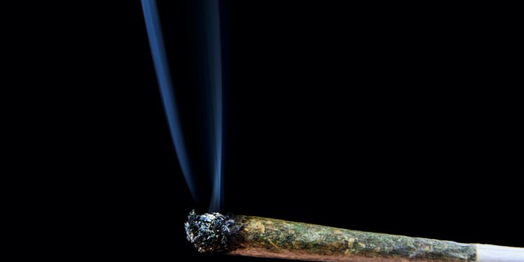 Wie-viele-Cannabis-Tote-gibt-es-auf-der-Welt
