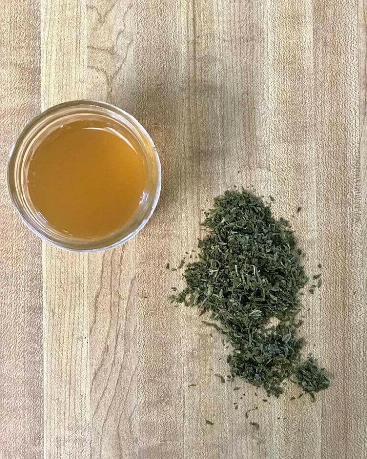 Ein echtes Superfood Cannabis Kombucha Rezepte mit Hanf