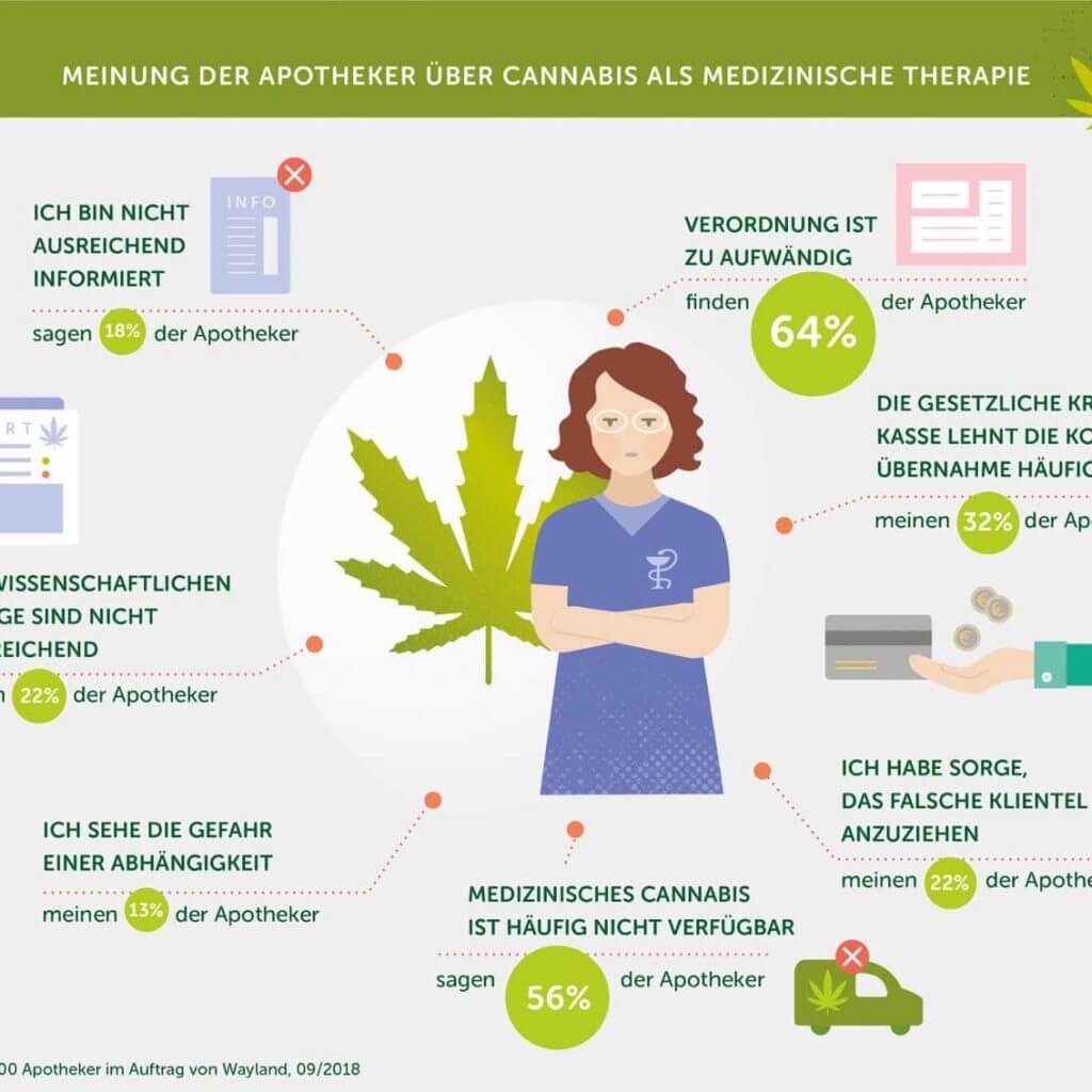 Infografik-Cannabis_03