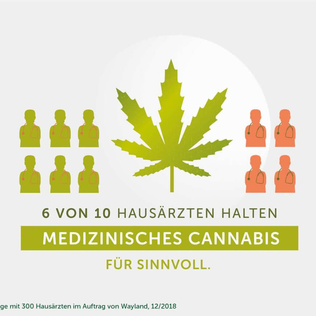 Infografik-Cannabis_04