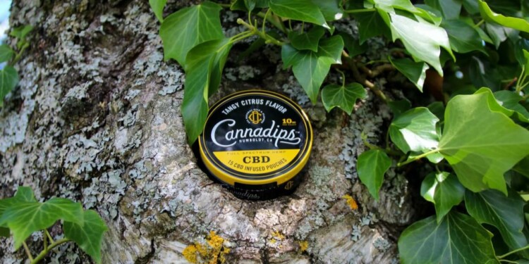 Cannadips-–-Geschmackvolles-CBD-für-unterwegs-1-1