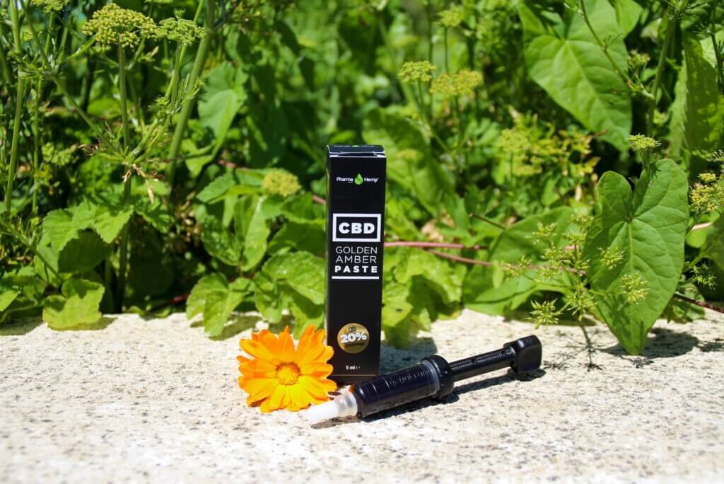 Golden-Amber-Paste-CBD-von-Pharma-Hemp-1