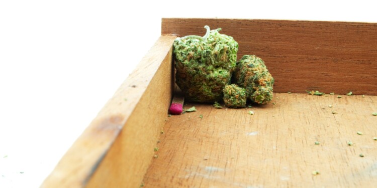Besser-leben-mit-Cannabis-Patientengeschichten-aus-der-Hölle