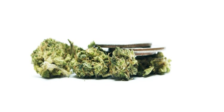 Ukraine-65-befürworten-Legalisierung-von-Cannabis-als-Medizin