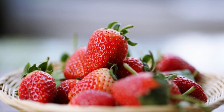 CBD-könnte-die-Haltbarkeit-von-Erdbeeren-verlängern