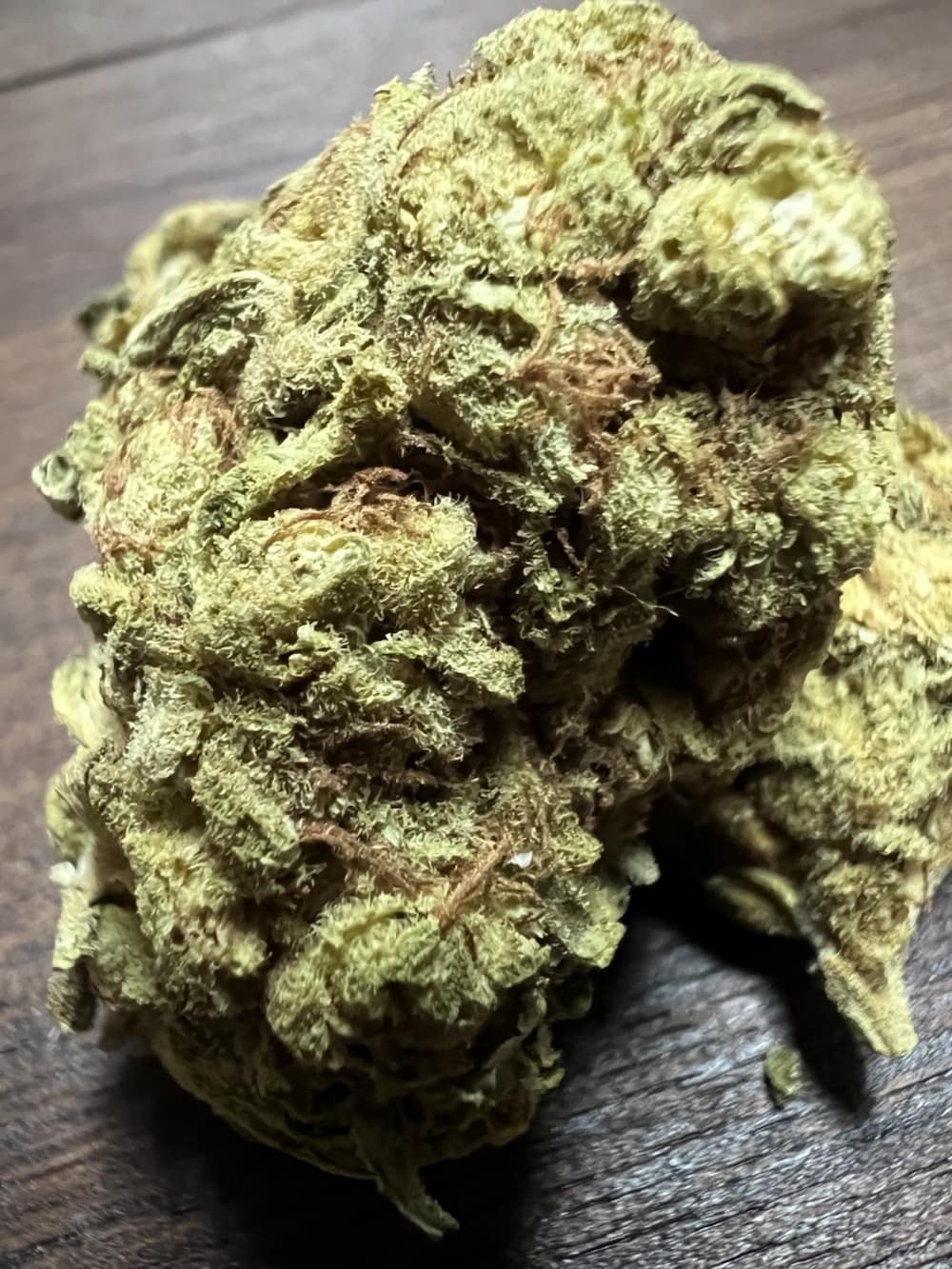 Andromeda-von-Together-Pharma-Kush-Kush_1