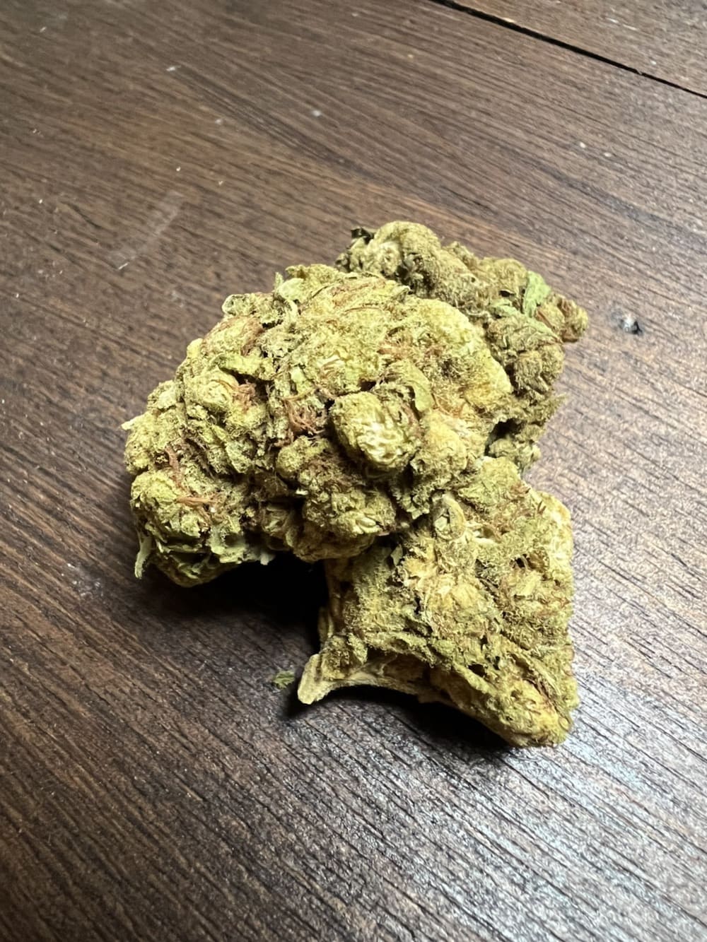 Andromeda-von-Together-Pharma-Kush-Kush_4