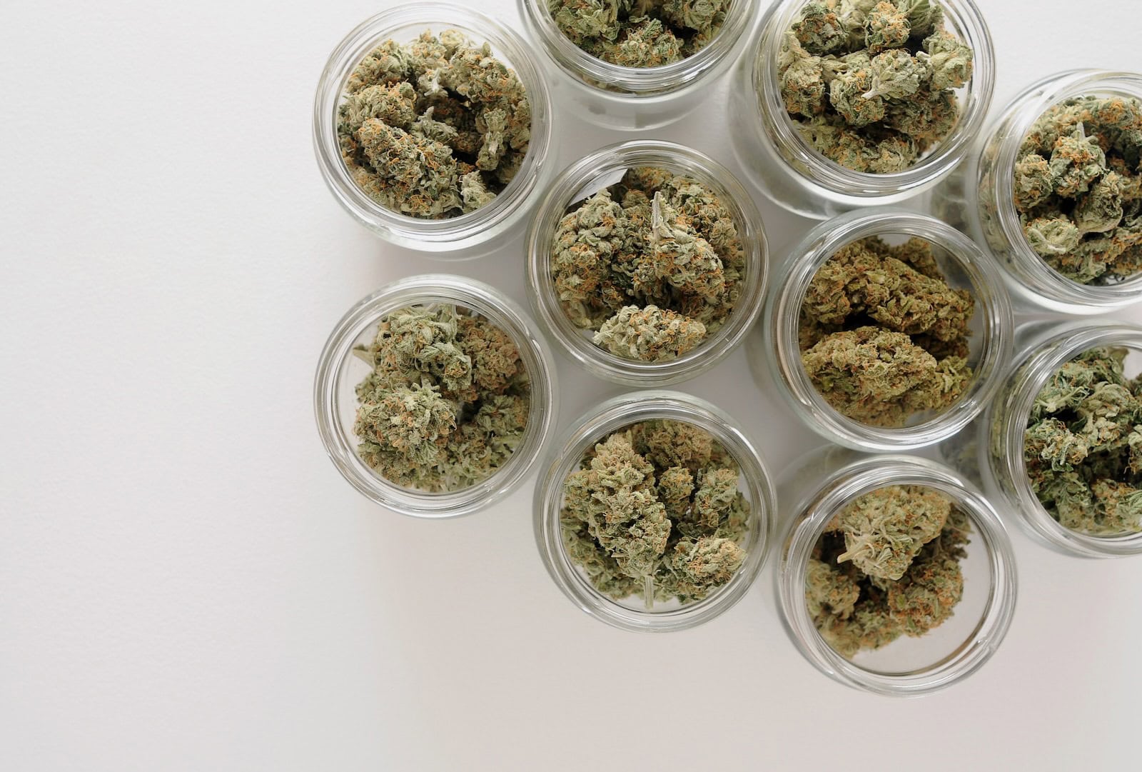 Medizinalcannabis-Boom-nach-CanG-Reform
