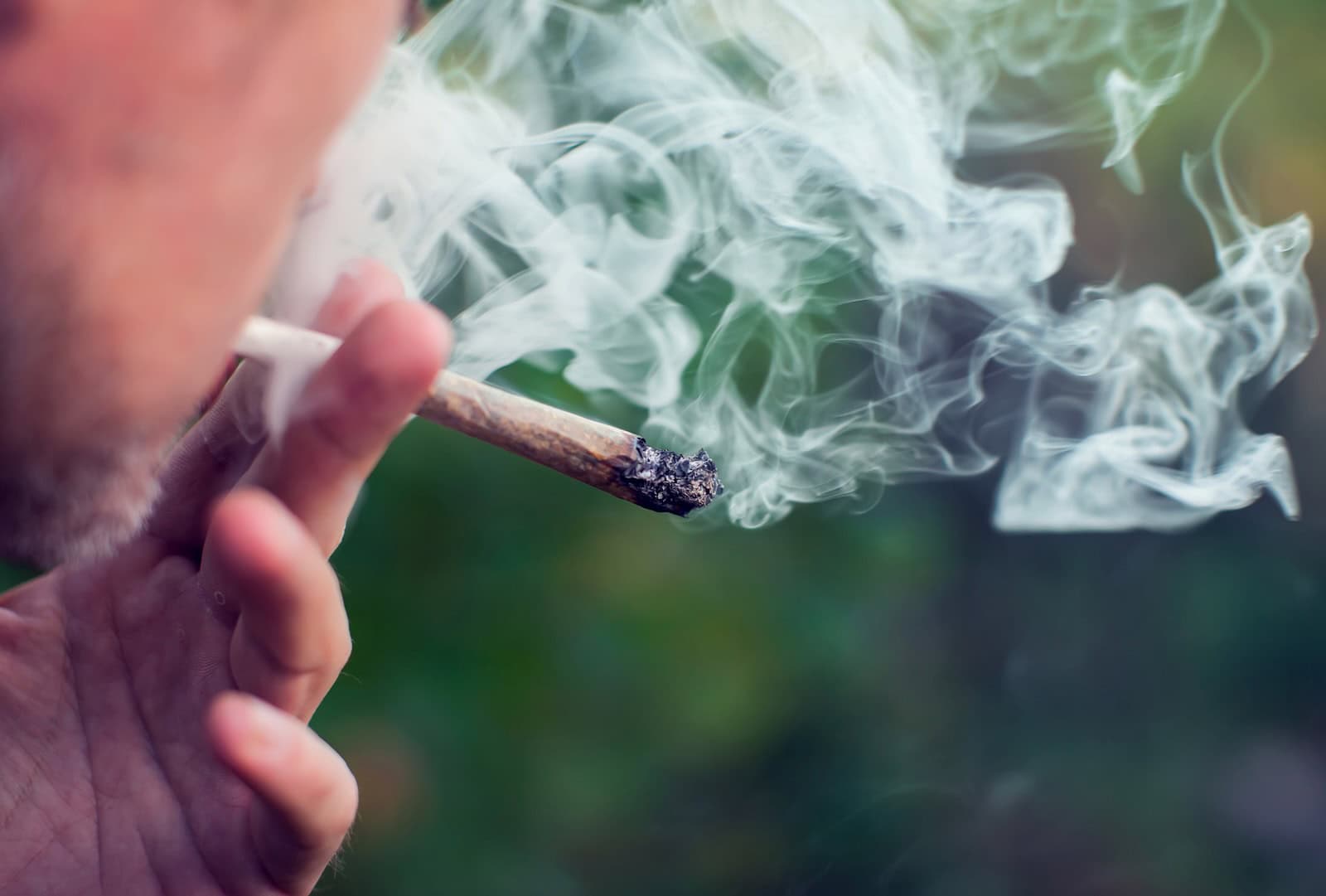 Risiken-bei-Mischkonsum-von-Cannabis-und-Tabak