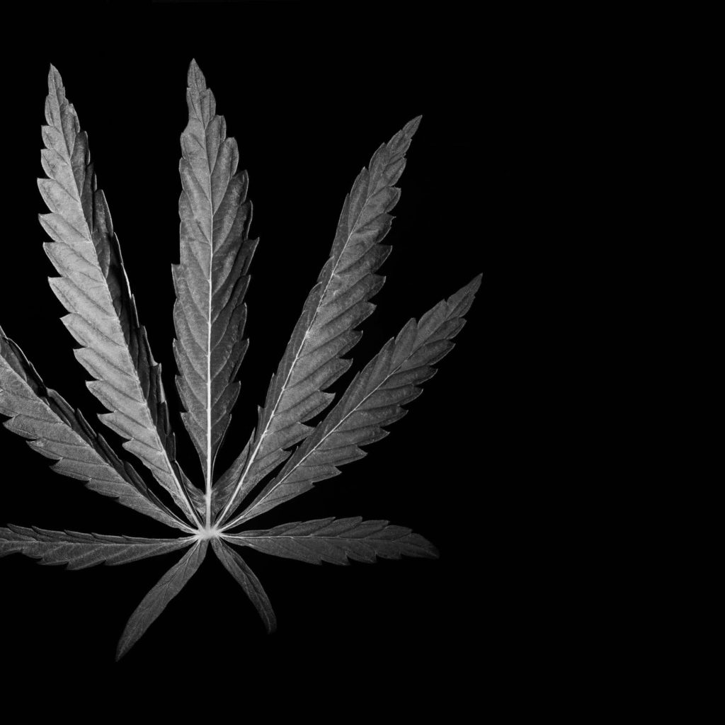 Medizinisches_Cannabis_der_Zukunft_03