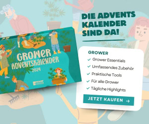 grower-adventskalender-1