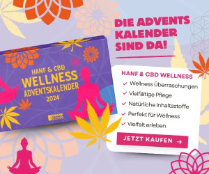 hanf-cbd-wellness-adventskalender-1